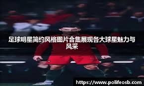 企业的
