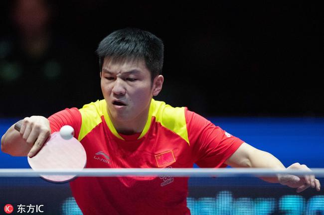 网球明星费 网球明星费